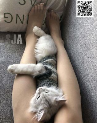 凌晨三点看的片免费_HD完整在线观看